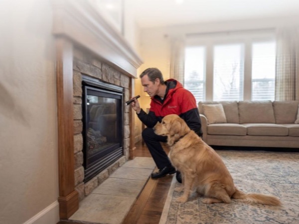 Serviced gas fireplace burning behind a screen